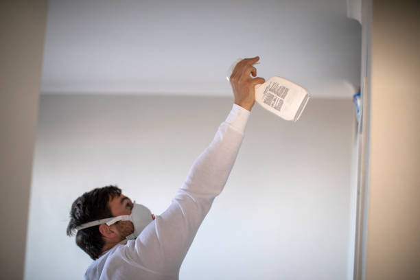 Best Mold Damage Repair  in Occidental, CA