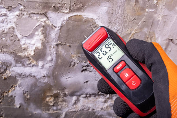 Best Crawl Space Mold Removal  in Occidental, CA